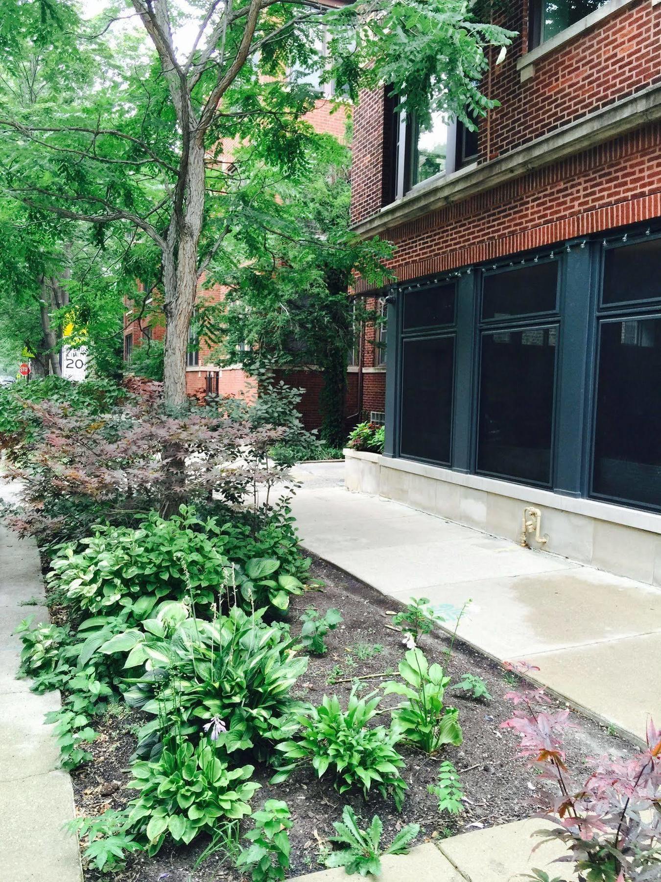 House 5863- Chicago'S Premier Bed And Breakfast Extérieur photo